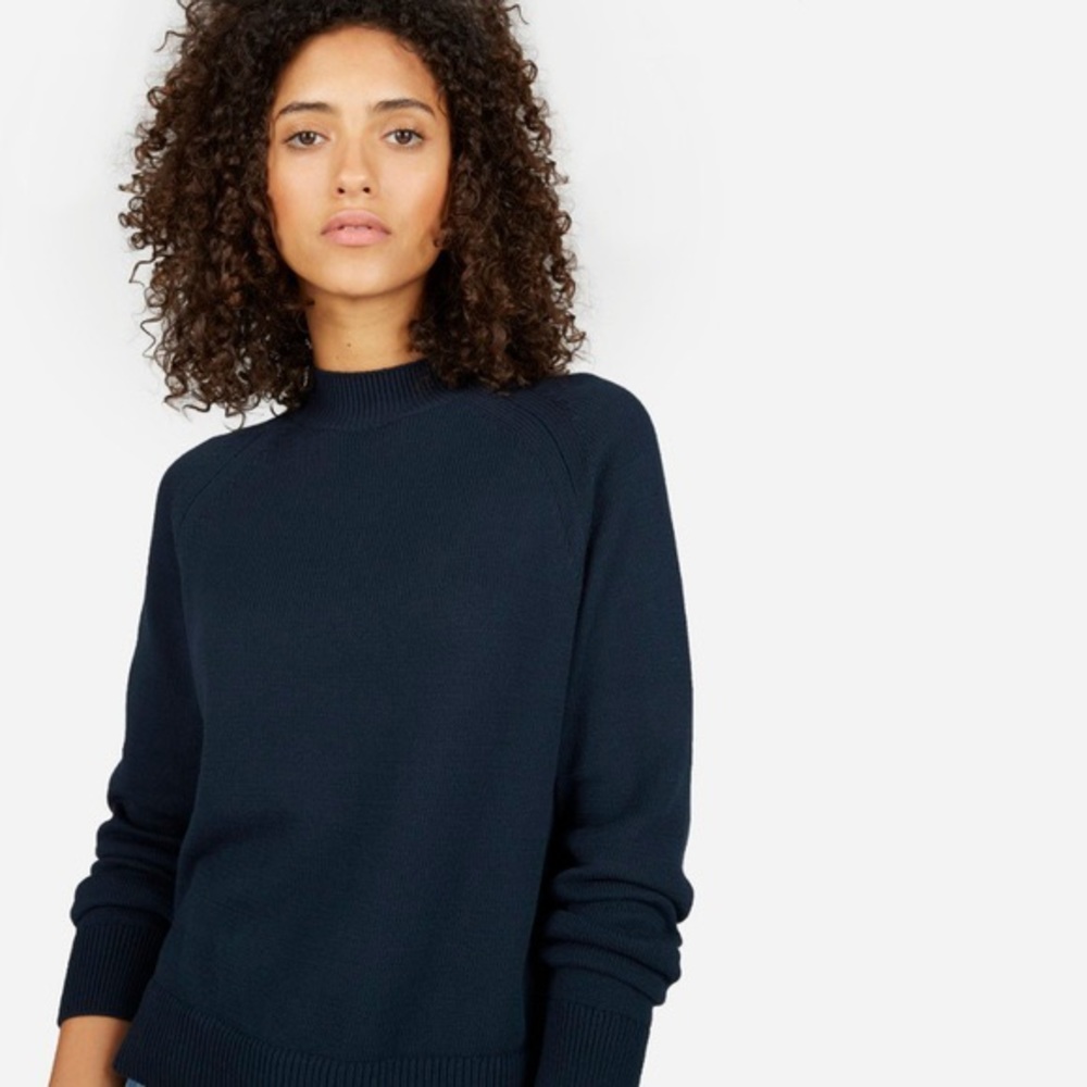 Navy Everlane mockneck sweater